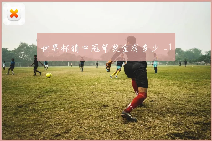 世界杯猜中冠军奖金有多少 _1
