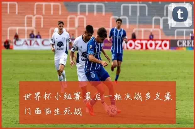 世界杯小组赛最后一轮决战多支豪门面临生死战