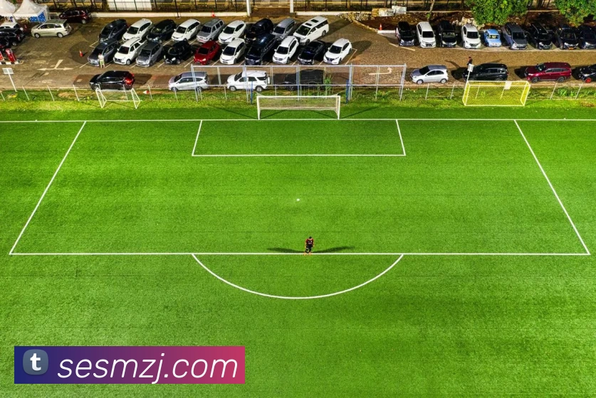 多媒体互动体验